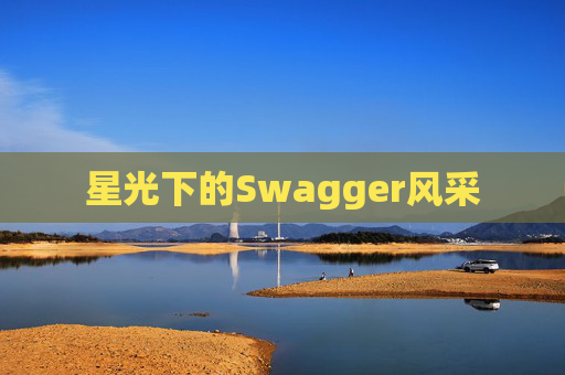 星光下的Swagger风采
